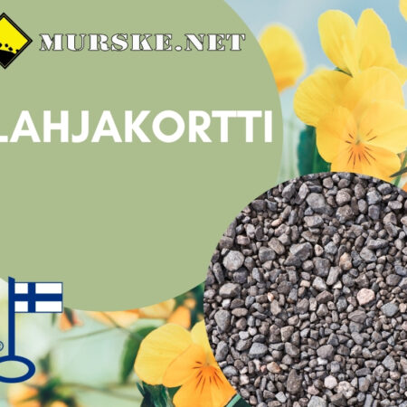 Lahjakortti