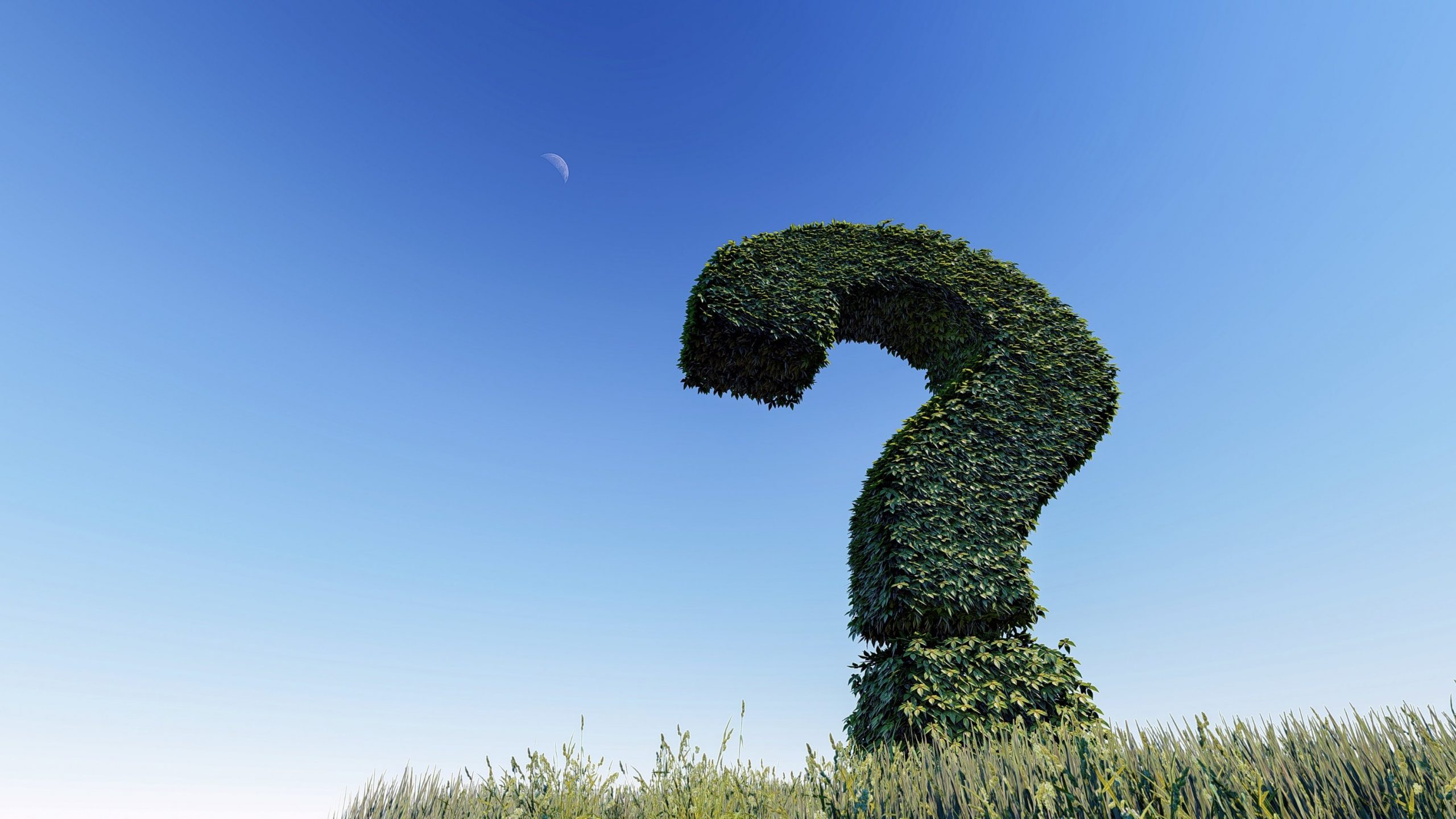 question mark 3255118744464894535798449 scaled
