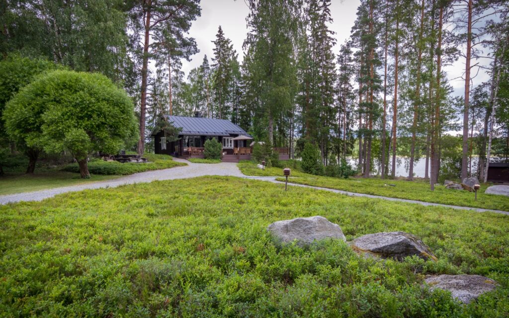 Kuntta – Luonnollinen ja Ekologinen Valinta Maisemointiin 2 kuntta1