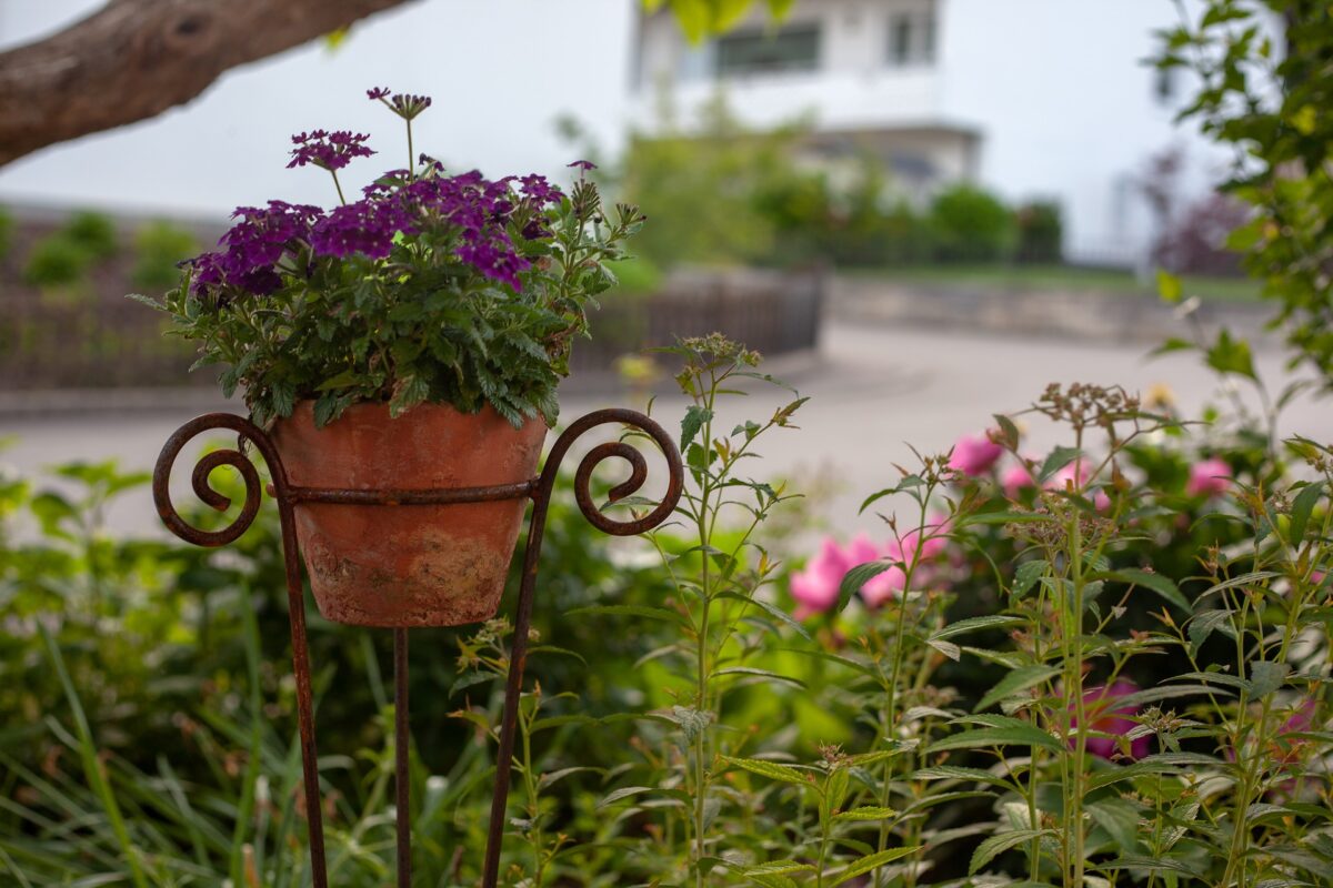 garden 3480799 1920