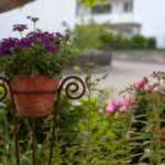 garden 3480799 1920